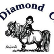 (c) Diamondcentre.org.uk