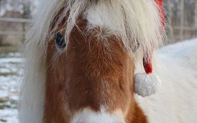 Raise funds for Diamond doing your Xmas shopping online!