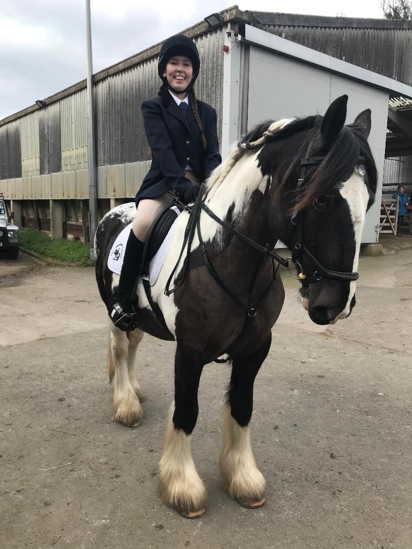 Dressage 1