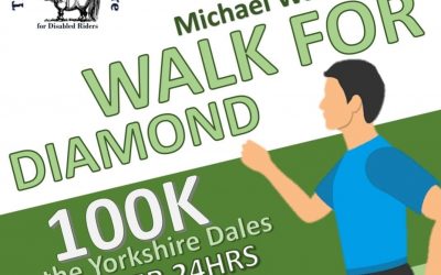 Support Mike’s 100km in 24h for Diamond!