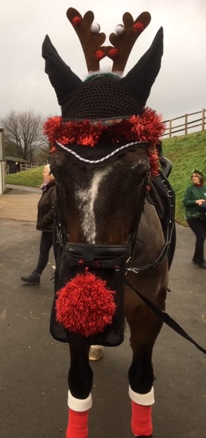 Horse & Pony Secret Santa coming soon……!