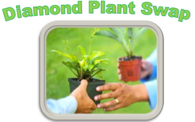 Diamond Plant Swap