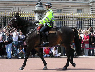 Talk: Tails of a mounted Police Officer – 23rd October