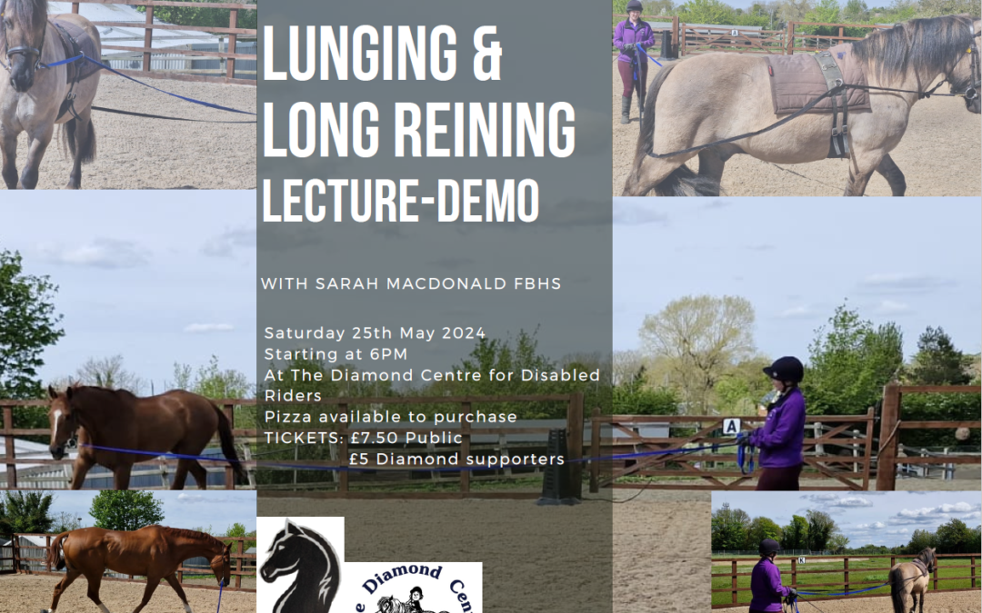 Join us for our lunging and long reining lecture demo