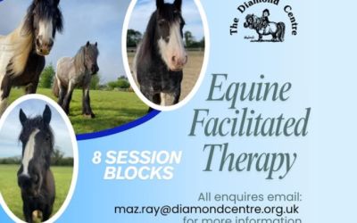 Equine Facilitated Therapy