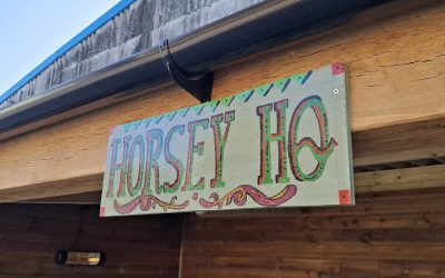 Upgrades to our Facilities – Horsey HQ!