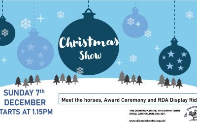 The Diamond Christmas Show 2025