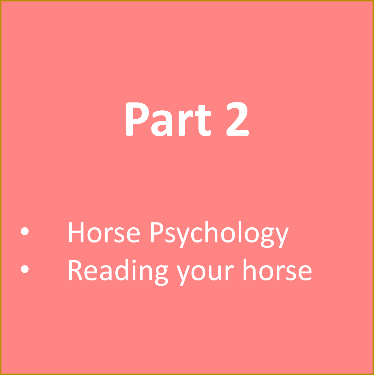 Part 2 horse awareness
